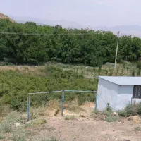 باغ گل محمدی