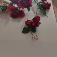 تعدادی گل سرخ سه شاخه سالم و درحدنو