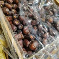خرمای دو شمارا در محل با قیمت بالا خریداریم