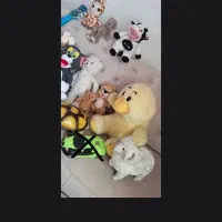 اسباب بازی|اسباببازی بچه|تبریز, |دیوار