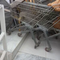 سبد فروشگاهی|فروشگاه و مغازه|مرودشت, ژیان|دیوار