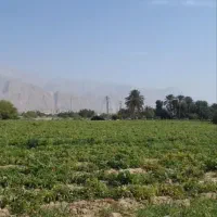 اجاره‌ی زمین کشاورزی خورموج
