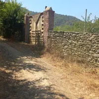 زمین مسکونی در روستای بکرو گردشگری بنفشتپه|فروش زمین و ملک کلنگی|نوکنده, |دیوار
