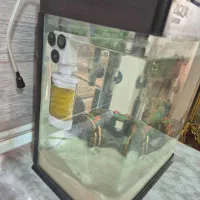 آکواریوم|ماهی|پاکدشت, پاکدشت (مامازند)|دیوار