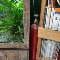 اکواریوم پلنت با تمام متعلقات و کبسول co2|ماهی|شیراز, شهرک گلستان|دیوار