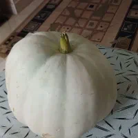 کدوی تازه|خوردنی و آشامیدنی|اصفهان, شیخ اشراق|دیوار