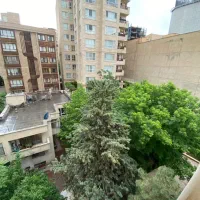 فرمانیه شرقی ۱۸۵متری تکواحدی|اجارهٔ آپارتمان|تهران, فرمانیه|دیوار