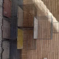 قفس پرنده