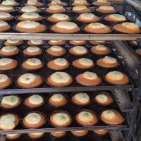 شیرینی نارگیلی و کشمشی و شربتی و...|خوردنی و آشامیدنی|برخوار, |دیوار