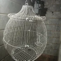 قفس عروس هلندی