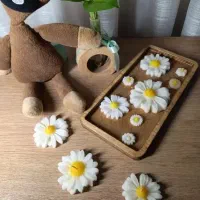 قالب سیلیکونی شمع سازی|صنایع دستی و سایر لوازم تزئینی|ری, ولی آباد|دیوار