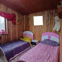 دو عدد تخت یک نفره