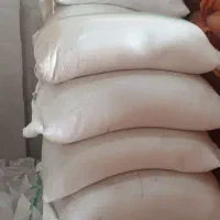 برنج هاشمی امساله ۱۴۰۵