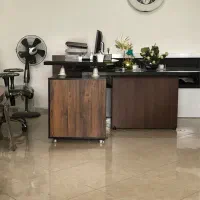 تعدادی نیروخانم جهت کاردرشرکت