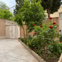 زمین-باغی450مترچار-دیواری-باهمه-امکانات-تاپ-لوکیشن