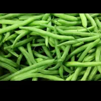 لوبیا سبز|حراج|پارس‌آباد, |دیوار