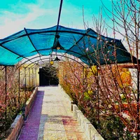 اجاره روزانه/هفتگی/ساعتی/ویلا ۱۵۰۰ متری|اجارهٔ کوتاهمدت ویلا و باغ|ورامین, ورامین|دیوار