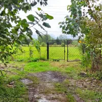 اجاره سوئیت ویلایی ۱ خوابه تمیز رو به باغ|اجارهٔ کوتاهمدت ویلا و باغ|رودسر, |دیوار