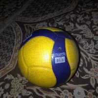 پارتنر دختر