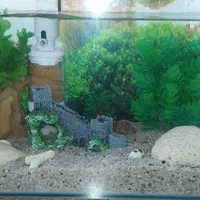 آکواریم شیشه خم|ماهی|نی‌ریز, |دیوار