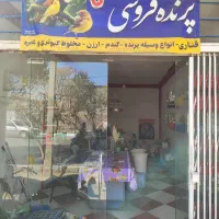سلام پرنده فروشی ثامن