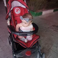 کالسکه و صندلی غذا