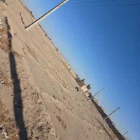 زمین کشاورزی