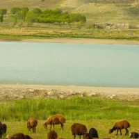 سله بن سد نمرود ۴۰۰۰ متر‌ نزدیک بافت