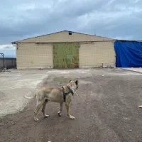 اجاره انبار ۵۵۰ متری در شهرک صنعتی نوجه ده