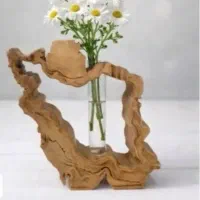 گلجای ایران