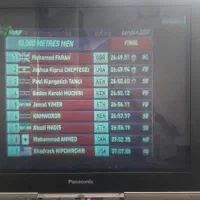 تلویزیون ۲۹ اینچ پاناسونیک سالم با کنترل اصلی