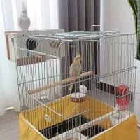 یک جفت عروس هلندی مولد