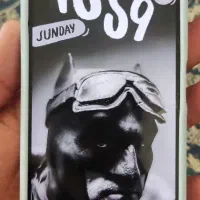 نوت یازده معمولی