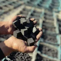 زغال حبه ای نارگیل، پسته فحم الجوز|عمده‌فروشی|خرمشهر, |دیوار