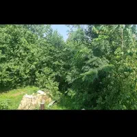 سرایدار متاهل باغ ویلا رباط کریم