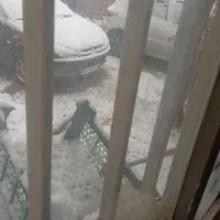 سویت-روزانه