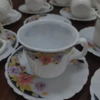 سرویس آرکوپال اندونزی خارجی نو آک وکیوم چایخوری