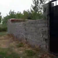 فروش فوری زمین زیر قیمت در سراجار|فروش زمین و ملک کلنگی|رودبنه, |دیوار