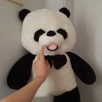 خرس پاندا