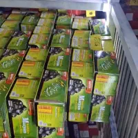 خرمای رطب مضافتی بم