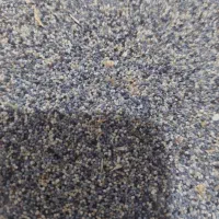 بذر کشاورزی|گل و گیاه طبیعی|کوهدشت, |دیوار