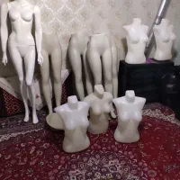 مانکن و رگال چرخشی
