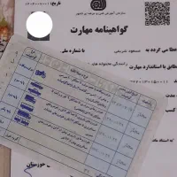 راننده پایه یک