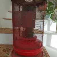 علاءالدین نفتی