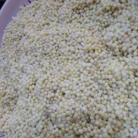 خاویارحلزون