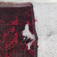 فرش دستباف|فرش|مشهد, نوده|دیوار