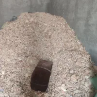 فروش نان خشک