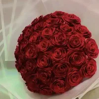 گل ربانی|گل مصنوعی|زابل, |دیوار