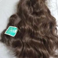 کلاه گیس وپوستیژ