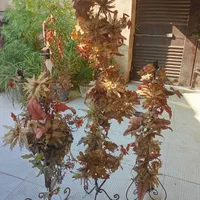 گل مصنوعی پایه فرفورژه دارای چراغ خواب،